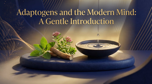 Adaptogens and the Modern Mind: A Gentle Introduction